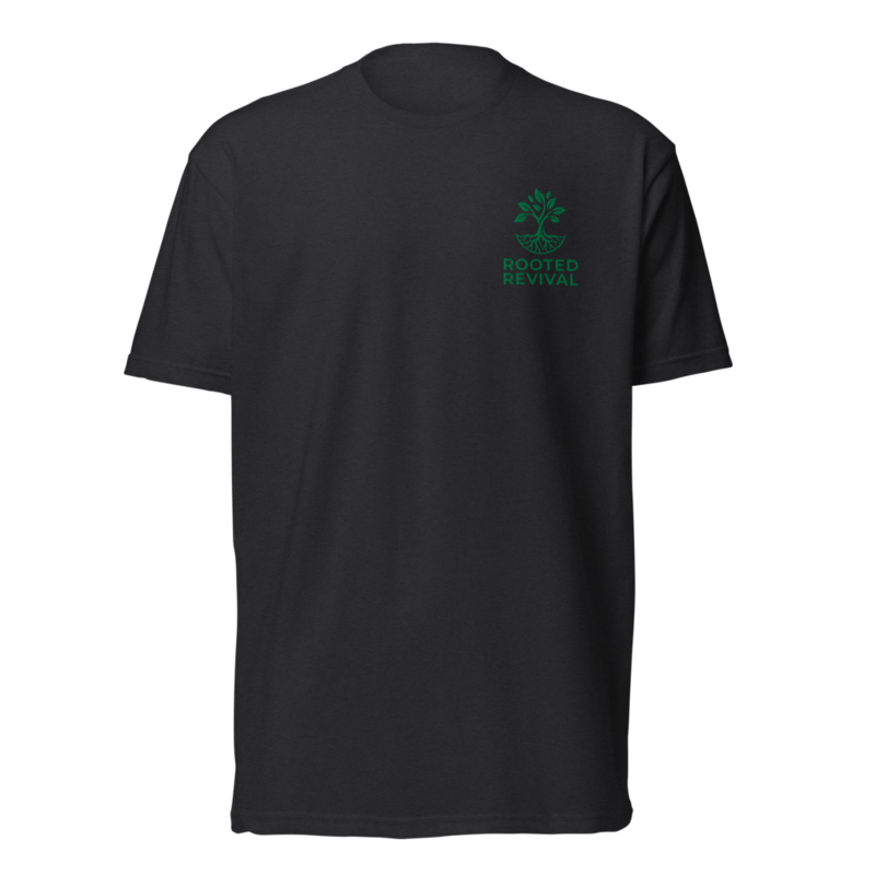Unisex Fitted T Shirt Next Level 6210