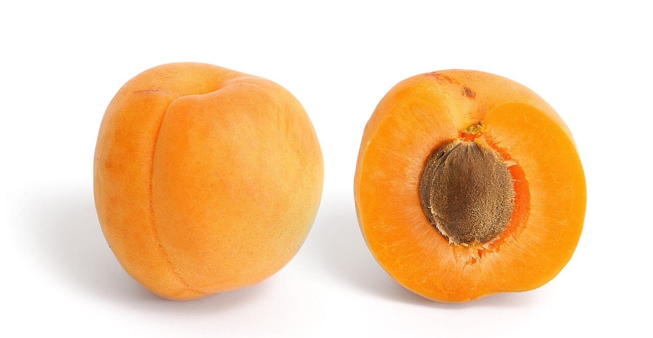 Apricot (Prunus armeniaca)