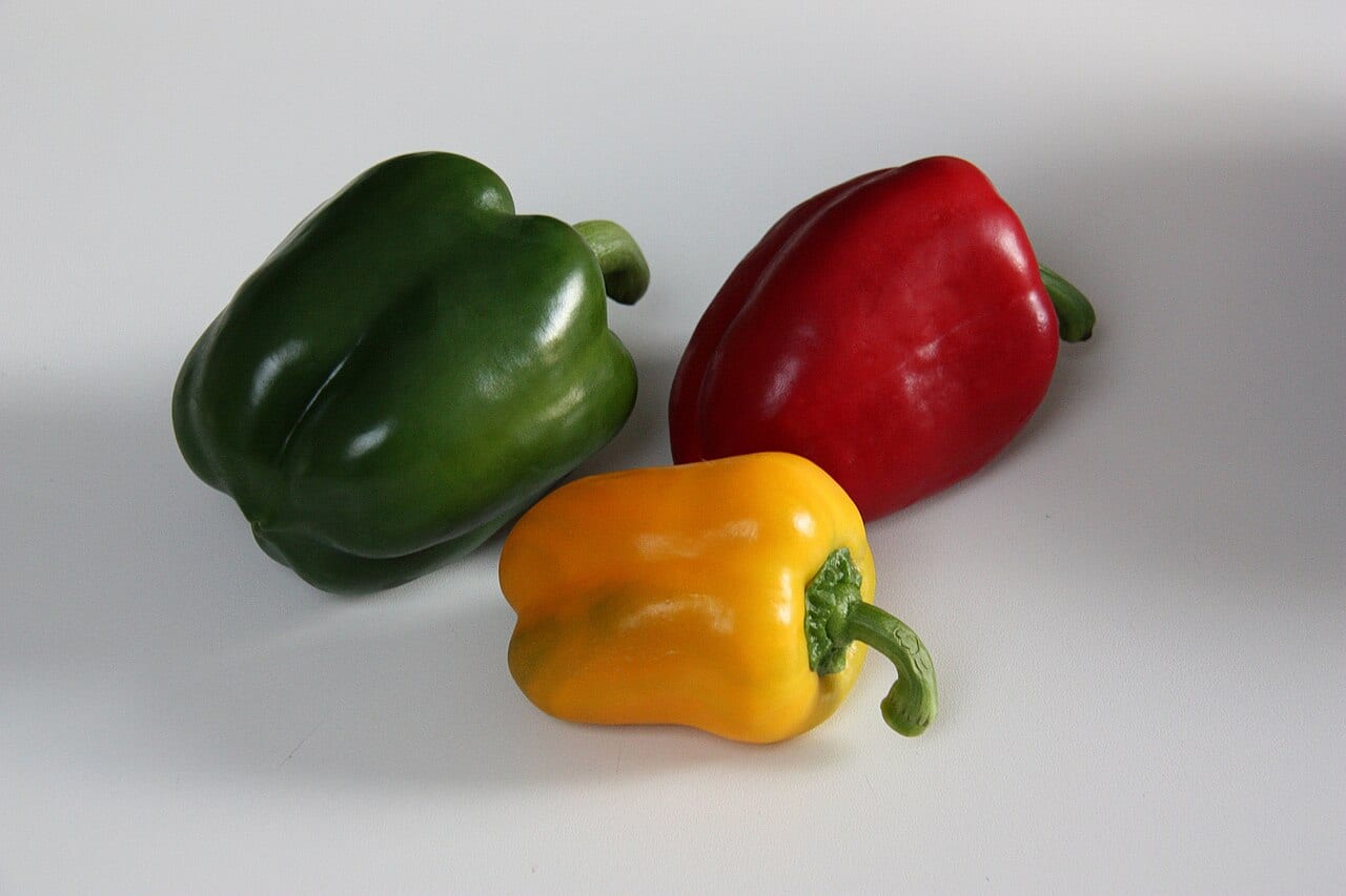 Bell Pepper (Capsicum annuum (Grossum Group))