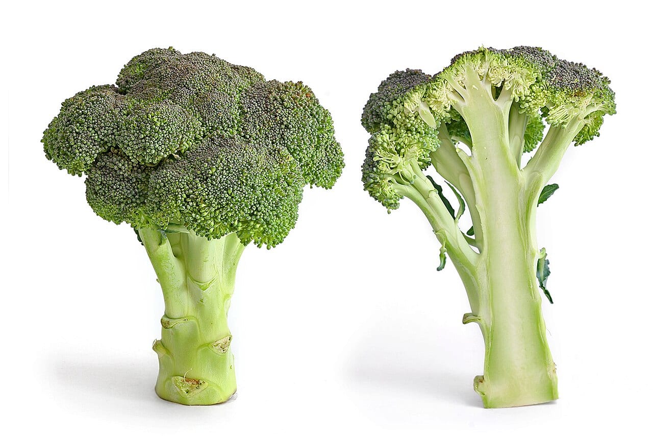 Broccoli (Brassica oleracea (Italica Group))