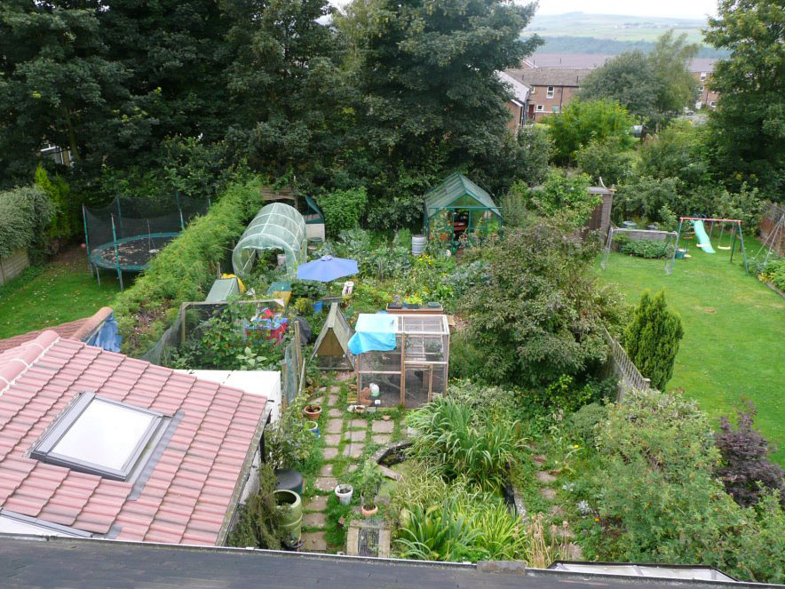 A mature permaculture food forest with multiple plant layers