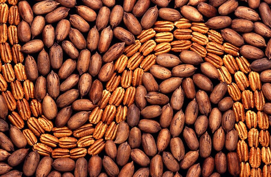Shelled and unshelled pecan nuts in a bowl