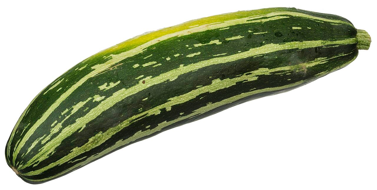 Summer Squash (Cucurbita pepo (Zucchini Group))